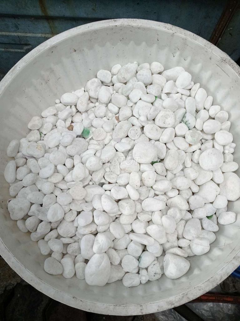 Sỏi trang trí Đá Trắng. Mua bán Cây cảnh, đồ trang trí tại Huyện Bình Chánh Tp Hồ Chí Minh được đăng bởi Trang hình 1