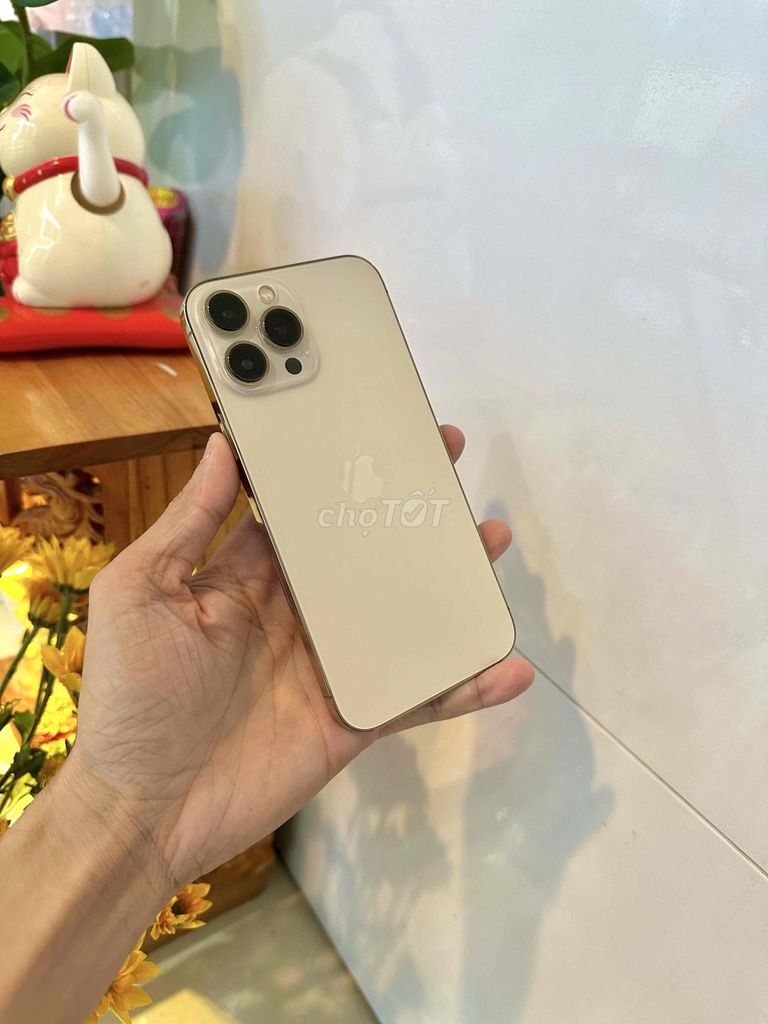 iphone 13Promax 256G zin đẹp 99,99. Mua bán Điện thoại tại Thành phố Long Xuyên An Giang được đăng bởi phong LX  hình 1