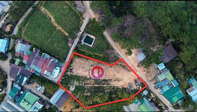 Bán đất sổ NN 2541m2 đường bê tông 5m. Đường Ngô Thì Sỹ vào 500m. Mua bán đất tại Thành phố Đà Lạt Lâm Đồng được đăng bởi Văn Dũng