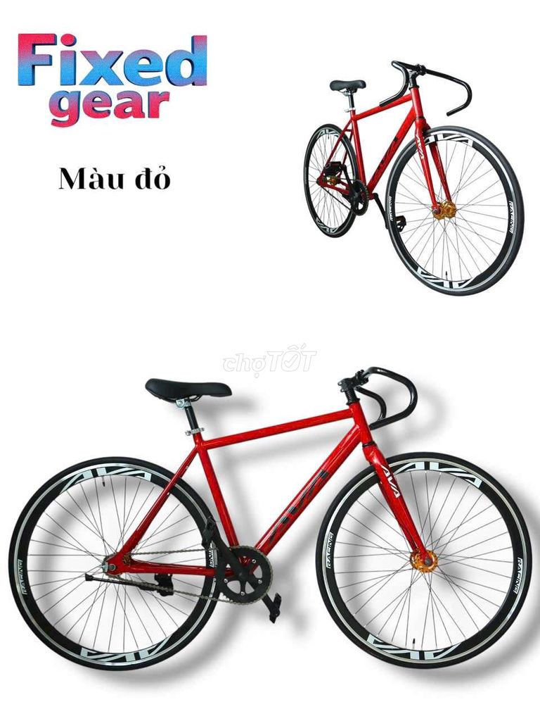 Tuyển kế toán nữ. Việc làm Kế toán tại Huyện Đức Hòa Long An được đăng bởi thegioixe hình 1