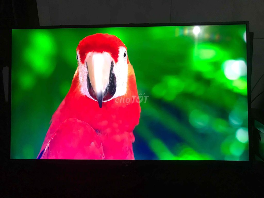 Tivi Sony 43 inch 4K. Mua bán Tivi, Âm thanh tại Huyện Đất Đỏ Bà Rịa - Vũng Tàu được đăng bởi Thiện Lành hình 1