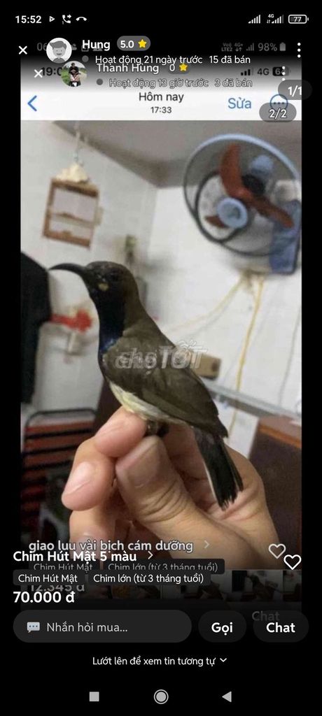 Chim Hút Mật Trên 3 tháng tuổi Khỏe mạnh. Mua bán Chim tại Thành phố Thủ Dầu Một Bình Dương được đăng bởi huy hình 1