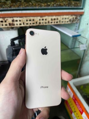 iphone 8 64gb zin thay pin new. Mua bán Điện thoại tại Quận Tân Phú Tp Hồ Chí Minh được đăng bởi Minh Vương