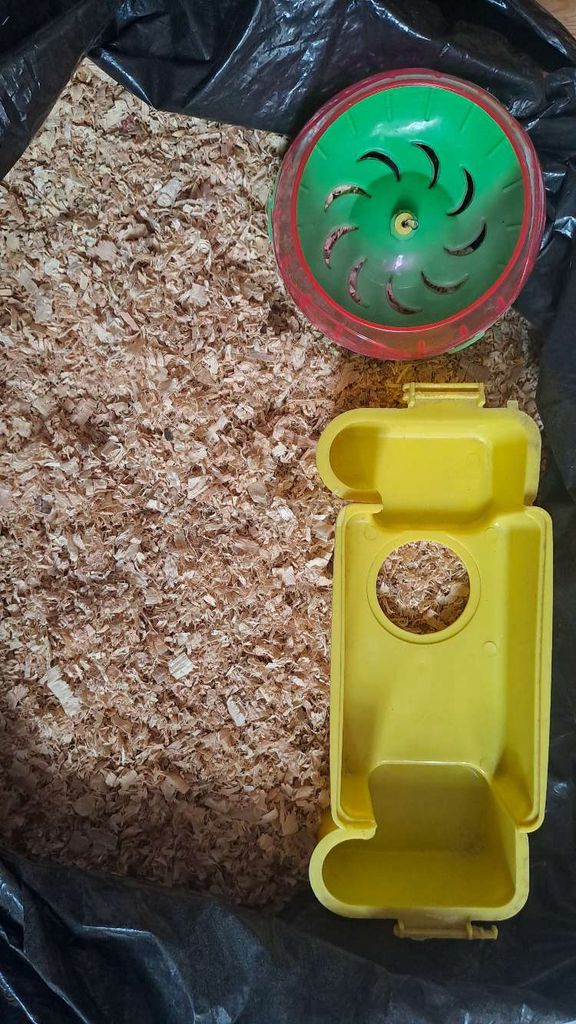 4 chuột hamster + 5kg gỗ thơm