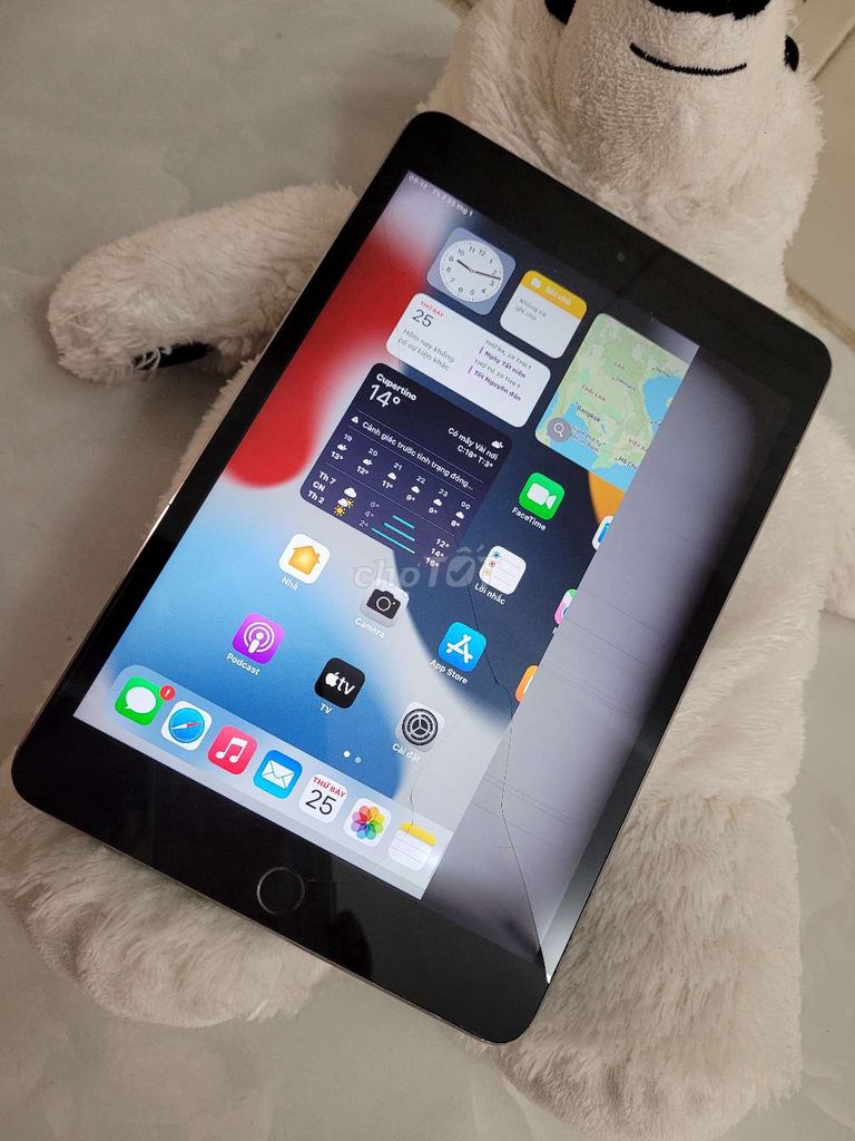 Ipad Mini 4 16g giá tốt