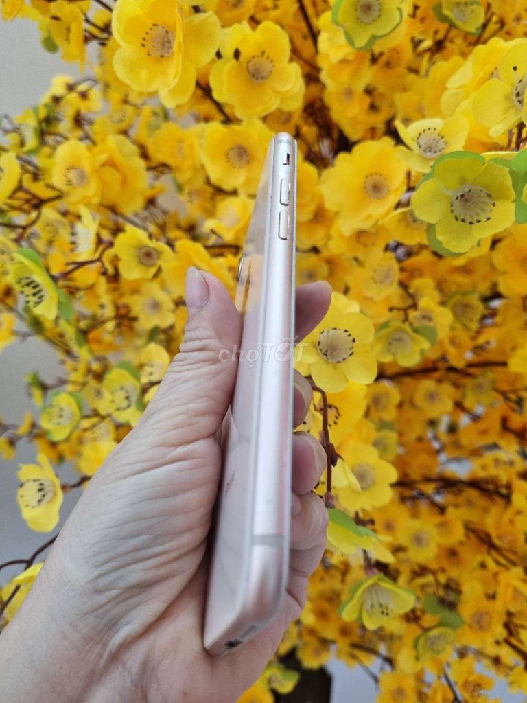 iPhone 8 64GB Vàng