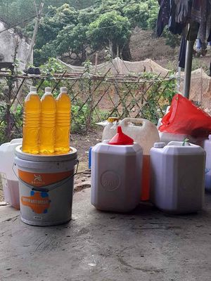 Mật ong hoa nhãn theo mùa. Mua bán Đồ ăn, thực phẩm và các loại khác tại Huyện Quốc Oai Hà Nội được đăng bởi Phúc