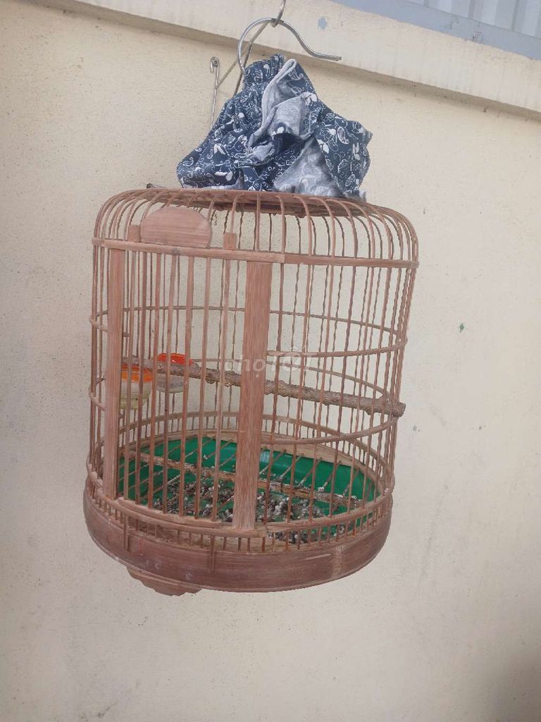 Lồng chim tre size 40 Nâu. Mua bán Phụ kiện, Thức ăn, Dịch vụ tại Huyện An Dương Hải Phòng được đăng bởi Hải Phòng hình 1