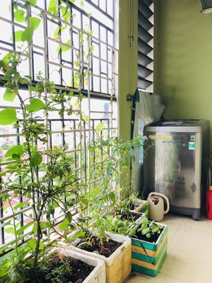 BÁN GẤP CHUNG CƯ CỬU LONG BÌNH THANH 63M2 GIÁ 3,4 TỶ