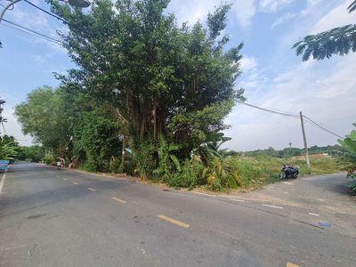 Đất ngay mặt tiền vào, đường xe contener, Nhị Bình 3, Hóc Môn. Mua bán đất tại Huyện Hóc Môn Tp Hồ Chí Minh được đăng bởi Thanh Tùng