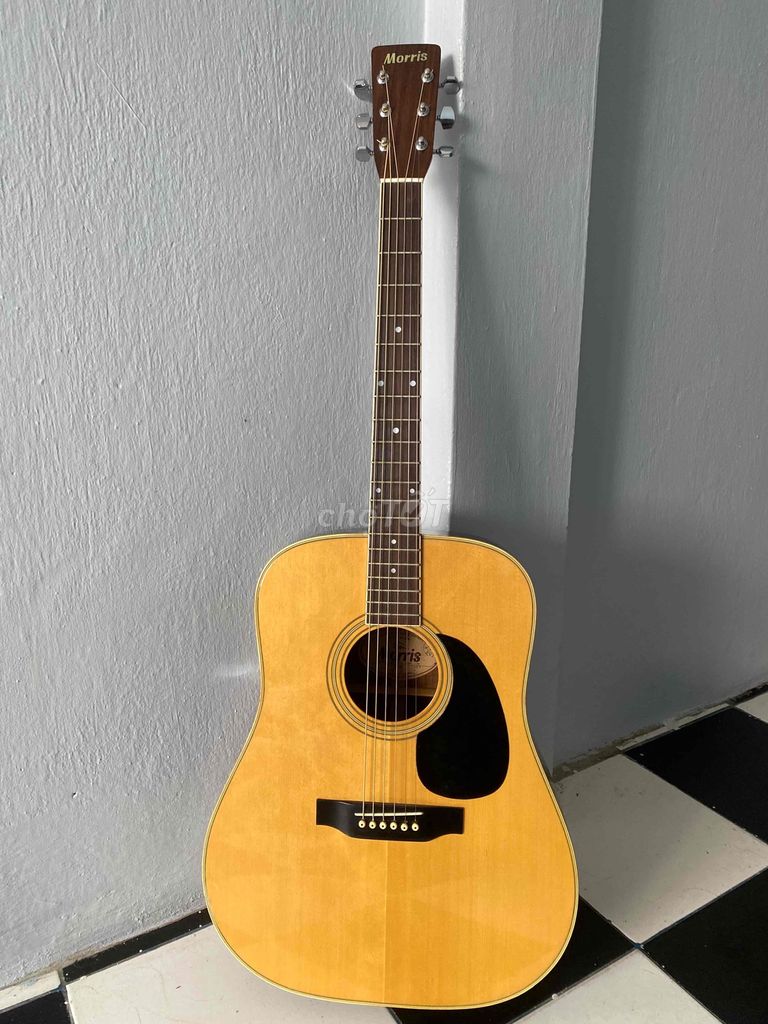 guitar Morris w20 zin