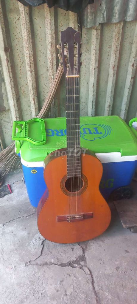 Đàn guitar Gỗ Nâu cho người mới bắt đầu. Mua bán Nhạc cụ tại Quận Tân Phú Tp Hồ Chí Minh được đăng bởi Bảo Ánh hình 1