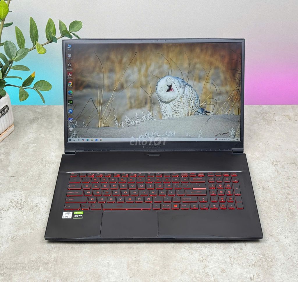 LAPTOP MSI 013VN I7 10750H/16GB/512GB/1650 4G/17.3. Mua bán Laptop tại Quận Bình Thạnh Tp Hồ Chí Minh được đăng bởi Z COMPUTER CHI NHÁNH BÌNH THẠNH hình 1