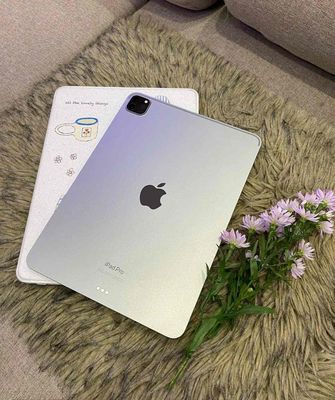 iPad Pro 12.9 M1 256GB 99%