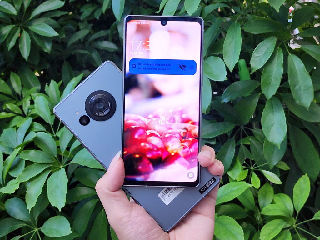 Sharp Aquos R8 5G - 240Hz| Dual SIM| Snap 8 Gen 2. Mua bán Điện thoại tại Quận Ba Đình Hà Nội được đăng bởi ZinMobile104 Đào Tấn hình 1