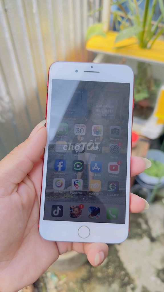 Apple iPhone 7 Plus 128GB Đỏ. Mua bán Điện thoại tại Huyện Giang Thành Kiên Giang được đăng bởi Sầu ka ka hình 1