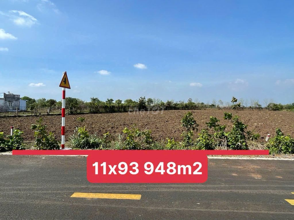 BÁN GẦN 1000M2 ĐẤT MT NHỰA PHẠM DUY TRINH - TT ĐẤT ĐỎ GIÁ 1,8 TỶ