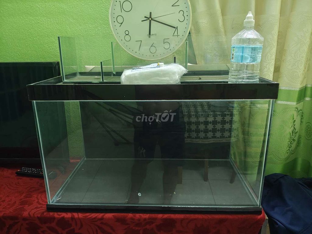 Dư Bể cá cảnh kính mới 100%. Mua bán Phụ kiện, Thức ăn, Dịch vụ tại Thành phố Thuận An Bình Dương được đăng bởi Hoàng hình 1