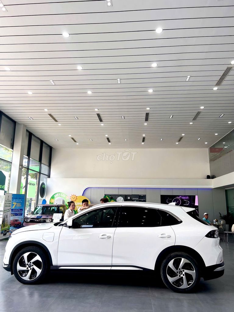 Ảnh số 7
