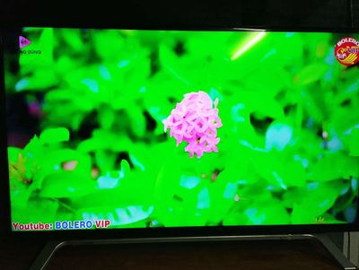 Smart TV Toshiba 40in