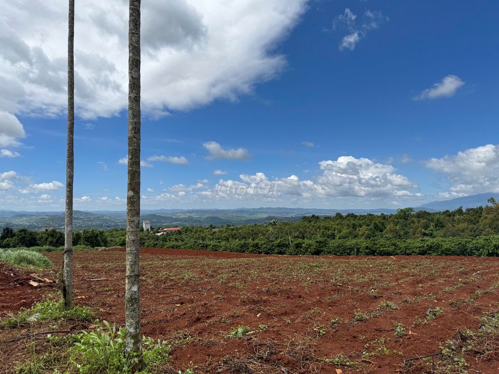 Đất đầu tư ven Đà Lạt | View săn mây - đường chính của xã. Mua bán đất tại Huyện Lâm Hà Lâm Đồng được đăng bởi Huyền Thanh hình 5