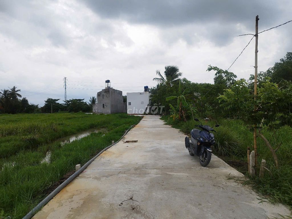 Đất full thổ cư xã Bình Mỹ Chỉ 1.65 tỷ Đường Bình Mỹ, Xã Bình Mỹ, Huyện Củ Chi, Tp Hồ Chí Minh Huyện Củ Chi Tp Hồ Chí Minh