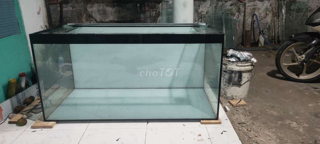hồ 1200×60×60 full 10. Mua bán Phụ kiện, Thức ăn, Dịch vụ tại Quận Bình Thuỷ Cần Thơ được đăng bởi Nguyễn Duy Hậu hình 1