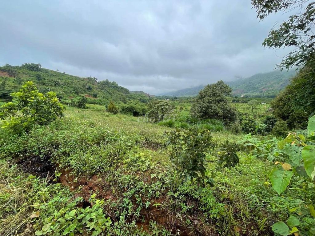 Chính chủ bán đất 2MT quy hoạch thổ cư, view hồ ngọc. Mua bán đất tại Huyện Bảo Lâm Lâm Đồng được đăng bởi Ngọc Lâm hình 2