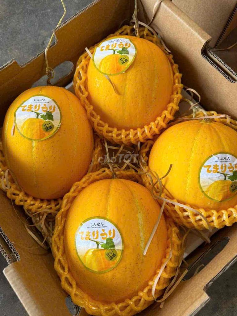 Dưa Lê Vàng Nhật. Mua bán Đồ ăn, thực phẩm và các loại khác tại Thành phố Thủ Đức Tp Hồ Chí Minh được đăng bởi Trần Gia Minh hình 1