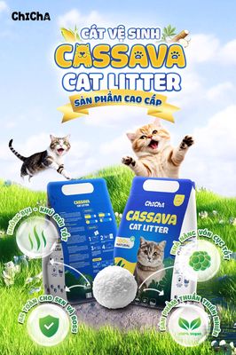 Cát vệ sinh không bụi ChiCha siêu vón cục - 2.5kg. Mua bán Phụ kiện, Thức ăn, Dịch vụ tại Quận Sơn Trà Đà Nẵng được đăng bởi winny phung