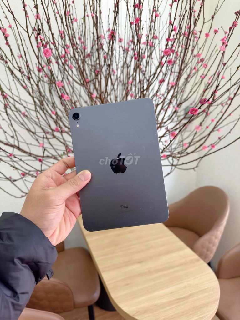 iPad Mini 6 64G wifi rin chuẩn, full box pin cao. Mua bán Máy tính bảng tại Thành phố Buôn Ma Thuột Đắk Lắk được đăng bởi Nguyễn Hữu Duy hình 1