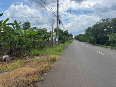 Bán 3000m2 đất gần KCN Đồng Phú II, thương lượng. Mua bán đất tại Thành phố Đồng Xoài Bình Phước được đăng bởi nguyễn thanh tùng