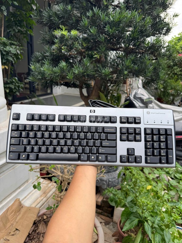 Bàn phím văn phòng HP KUS0133 Bạc, Đen. Mua bán Phụ kiện (Màn hình, Chuột...) tại Quận Hoàng Mai Hà Nội được đăng bởi Nguyễn Văn Tuấn hình 1