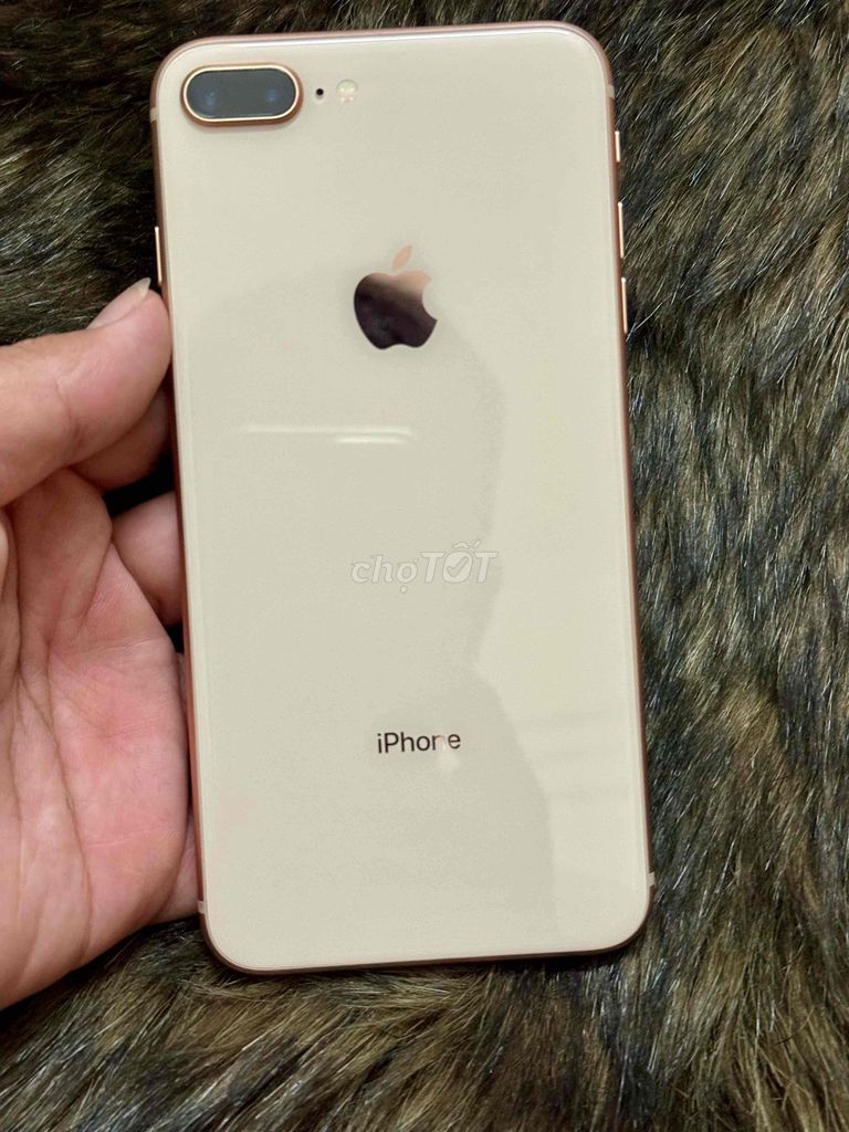 iPhone 8 Plus 64GB Vàng zin 100%. Mua bán Điện thoại tại Quận Long Biên Hà Nội được đăng bởi khoi dang minh hình 1