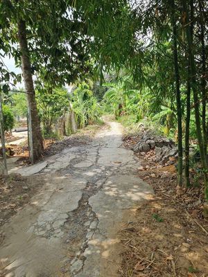 Bán 2 công đất ấp Thạnh Lợi, Tân Phú Thạnh gần KCN Tân Phú Thạnh, UBND. Mua bán đất tại Huyện Châu Thành A Hậu Giang được đăng bởi Kim Thanh