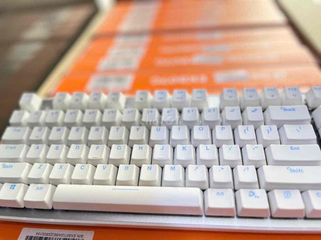 Bàn phím cơ DareU EK807G White | Không dây, Red. Mua bán Phụ kiện (Màn hình, Chuột...) tại Thành phố Vĩnh Long Vĩnh Long được đăng bởi Hữu Tài Computer hình 2
