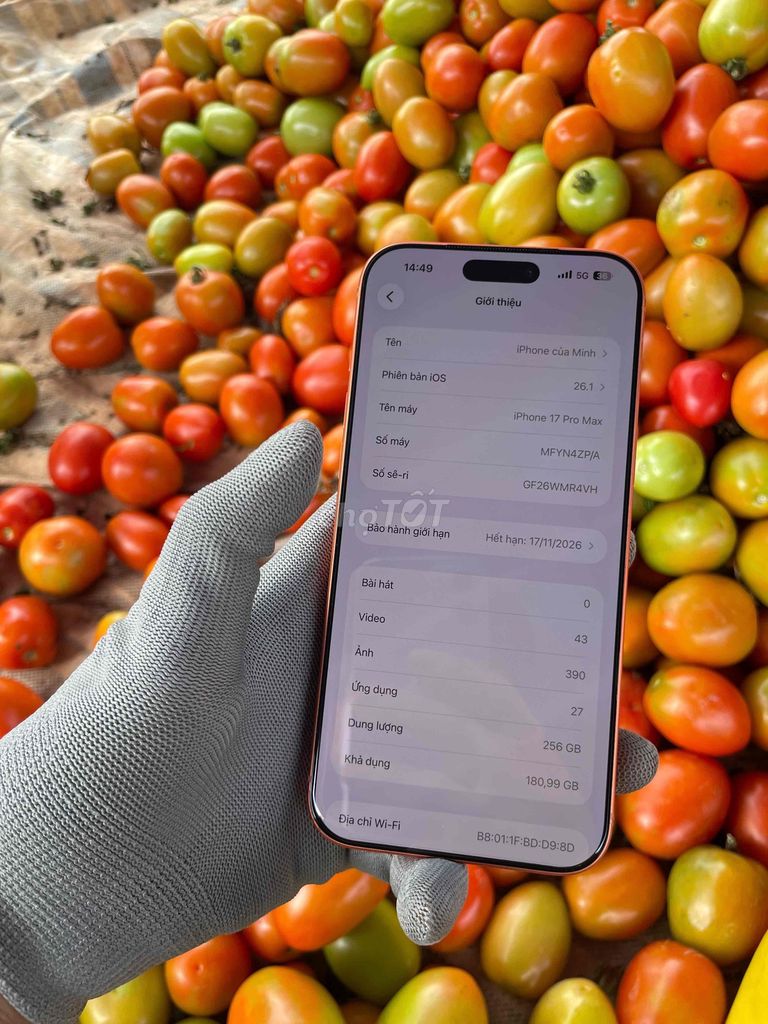 Apple iPhone 17 Pro Max 256GB Cam. Mua bán Điện thoại tại Huyện Đức Trọng Lâm Đồng được đăng bởi Minh hình 1