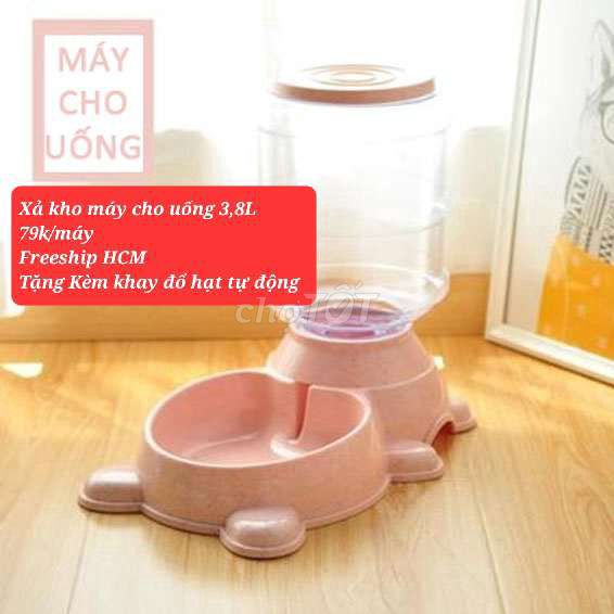 Xả kho máy cho thú cưng uống tự động 3,8L