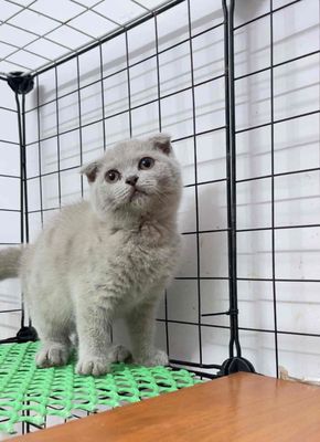 🔎🏡 mới