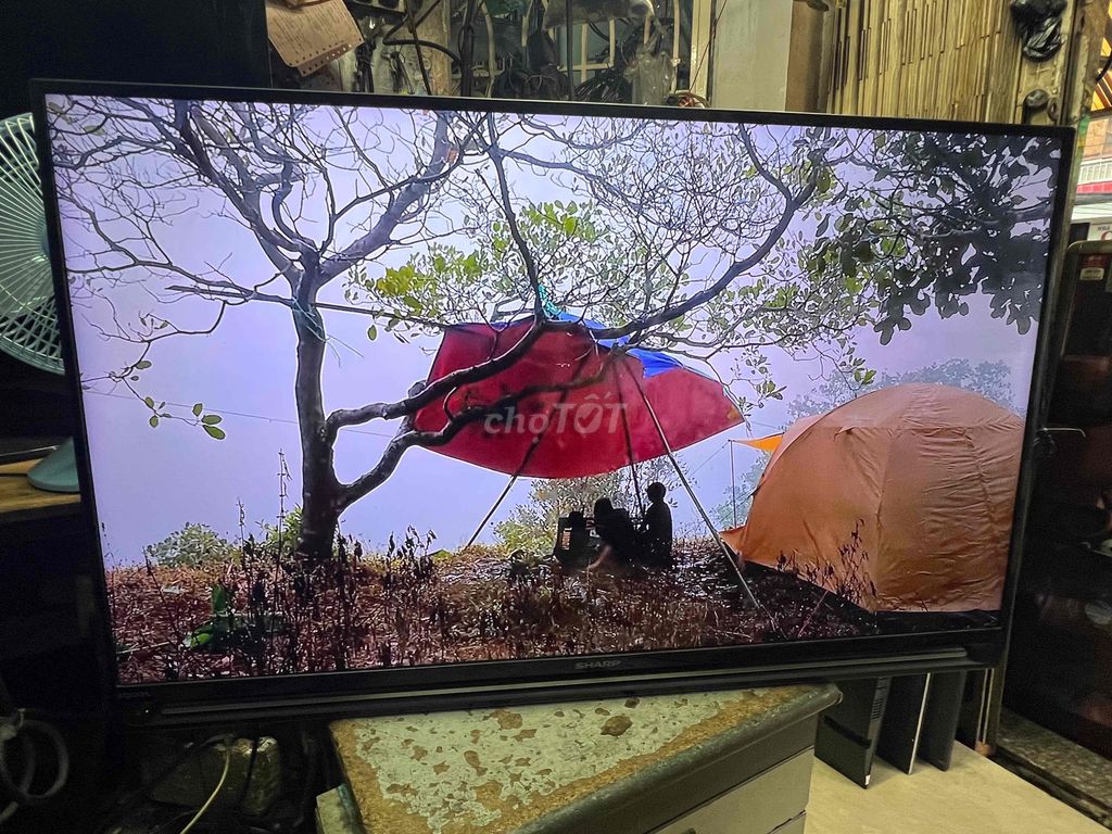 Sharp 40inch Wifi - YouTube ! Dvb-T2 ! Mỏng Đẹp ⚽️