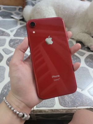 Iphone XR 128GB QT red nguyên zin đẹp keng