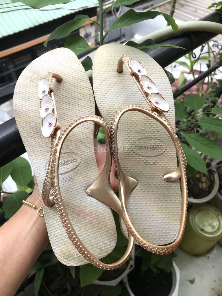 Đôi sandal hiệu Ha.vaian.as của Brazil chính hãng. Mua bán Giày dép tại Quận Tân Bình Tp Hồ Chí Minh được đăng bởi Phương Anh hình 1