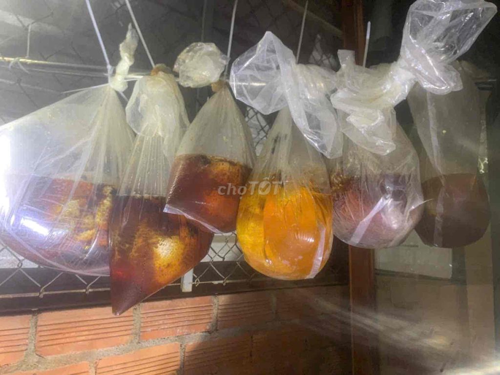Mật ong khoái rừng nguyên chất chín già. Mua bán Đồ ăn, thực phẩm và các loại khác tại Huyện Xuân Lộc Đồng Nai được đăng bởi Trần Quốc Vinh hình 1