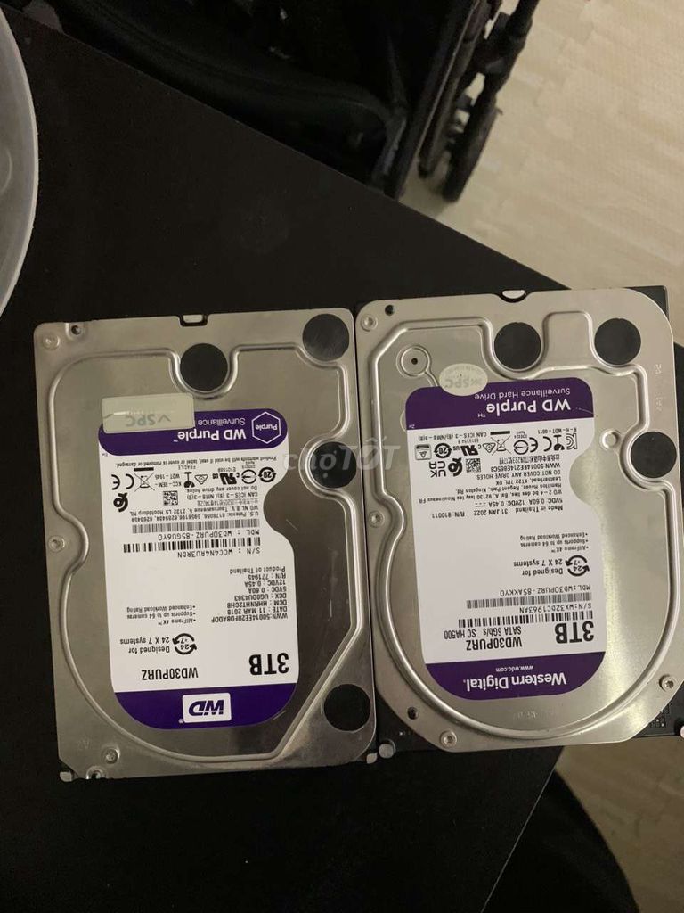 HDD WD 3TB