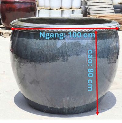 chậu trồng cây cảnh hoặc bon sai. Mua bán Cây cảnh, đồ trang trí tại Huyện Bắc Tân Uyên Bình Dương được đăng bởi Hiền Lương