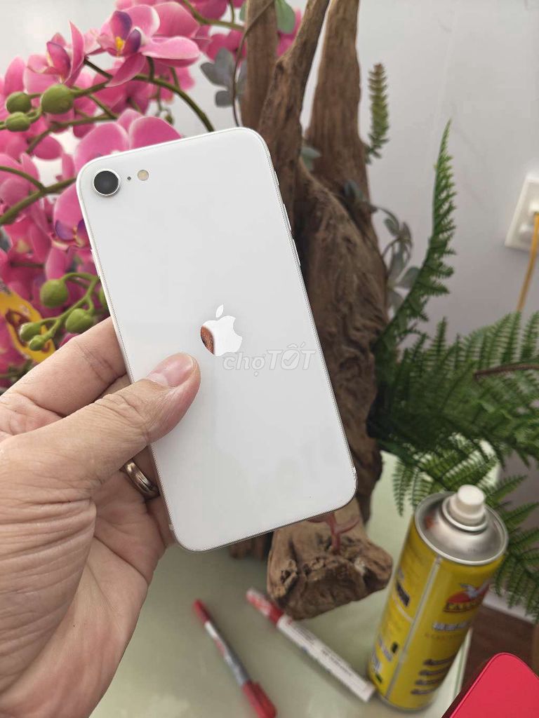 Apple iPhone SE 2 Quốc tế Mỹ Trắng. Mua bán Điện thoại tại Thành phố Buôn Ma Thuột Đắk Lắk được đăng bởi Tèo Điện Thoại  hình 1