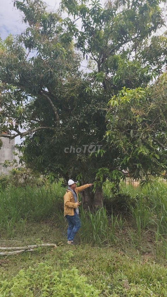 Bán lô đất mặt tiền Tỉnh lộ 721 – Ma đa guôi - Lâm Đồng – giá 7,9 tỷ. Mua bán đất tại Huyện Đạ Huoai Lâm Đồng được đăng bởi Quốc Vinh hình 3