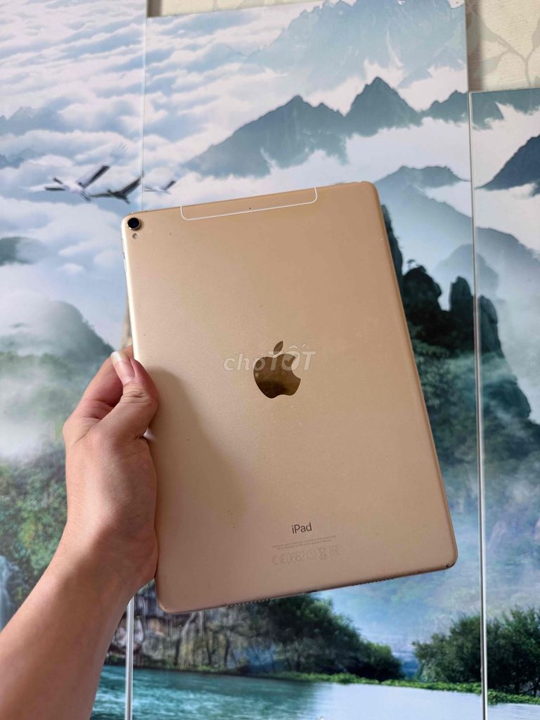 Apple iPad Pro 10.5 64GB Vàng 4G + WiFi. Mua bán Máy tính bảng tại Quận Thanh Khê Đà Nẵng được đăng bởi Tiến Cường hình 1