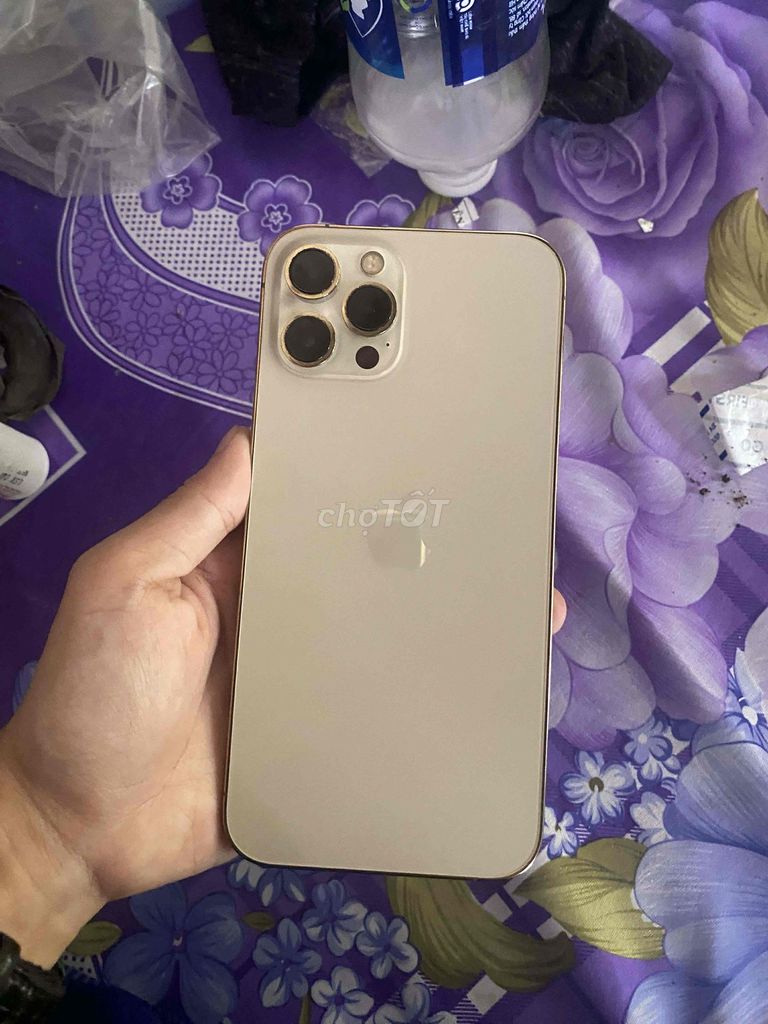 Apple iPhone 12 Pro Max 256GB Vàng. Mua bán Điện thoại tại Huyện Long Thành Đồng Nai được đăng bởi vân nguyễn hình 1