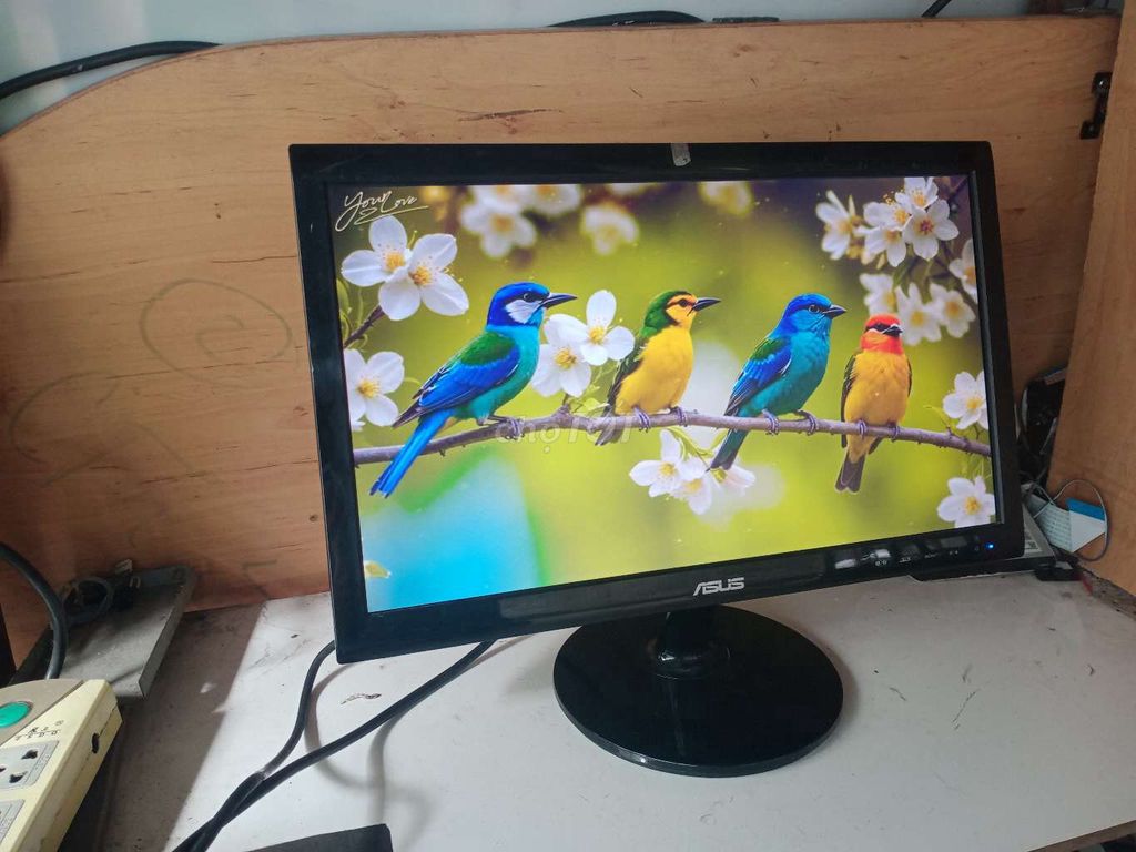 Màn hình Asus led 19 "  quá tốt 500k